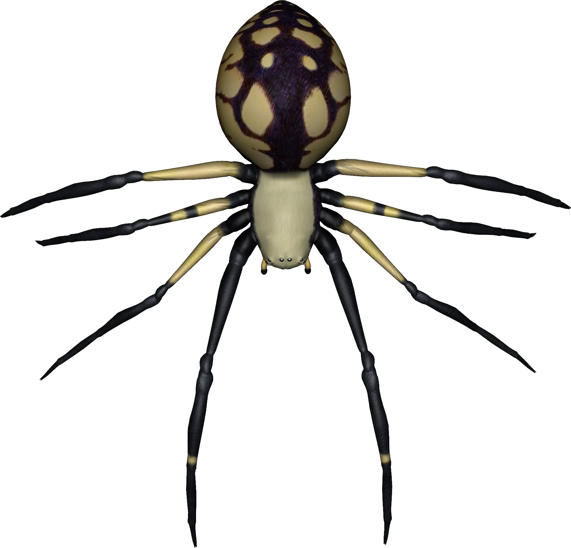 Intricate Black and Pale Yellow Spider Clipart with Detailed Anatomical Rendering