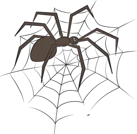 Intricately Designed Spider Web Clipart with Detailed Arachnid Illustration