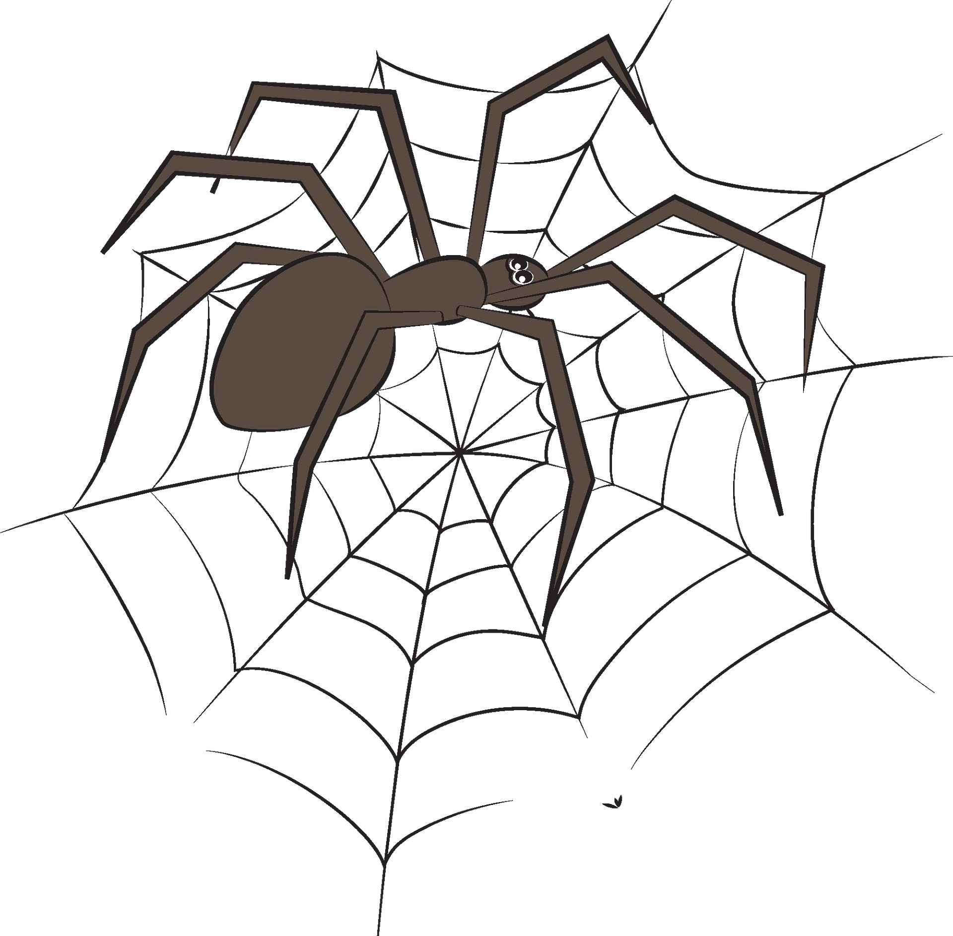 Intricately Designed Spider Web Clipart with Detailed Arachnid Illustration