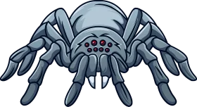 Menacing Metallic Gray Spider Clipart with Detailed Exoskeleton Design