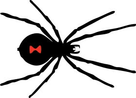 Minimalist Black Widow Spider Clipart with Distinctive Red Hourglass Mark