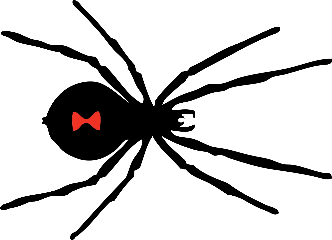 Minimalist Black Widow Spider Clipart with Distinctive Red Hourglass Mark