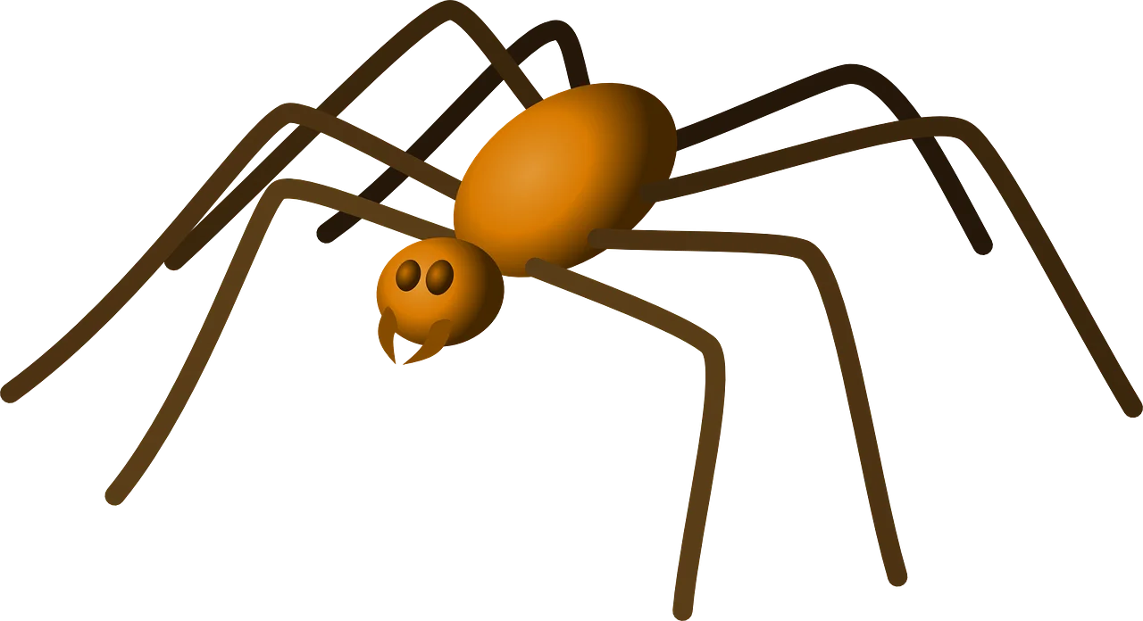 Playful Cartoon Spider Clipart with Long Spindly Legs and Cute Expression