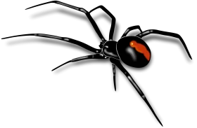 Sinister Black Widow Spider Clipart Illustration with Red Marking