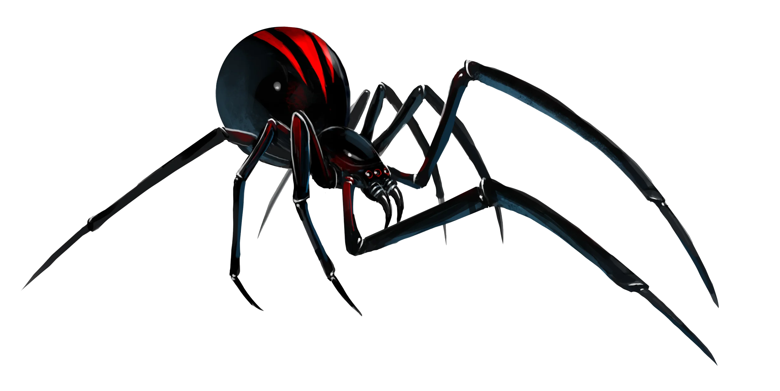 Sinister Black Widow Spider Clipart with Menacing Red Marking Design