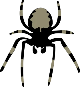 Stylized Black and Gray Striped Spider Web Design Clipart Illustration