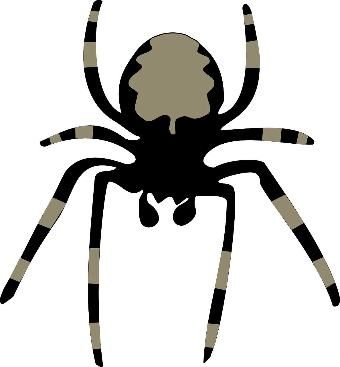 Stylized Black and Gray Striped Spider Web Design Clipart Illustration