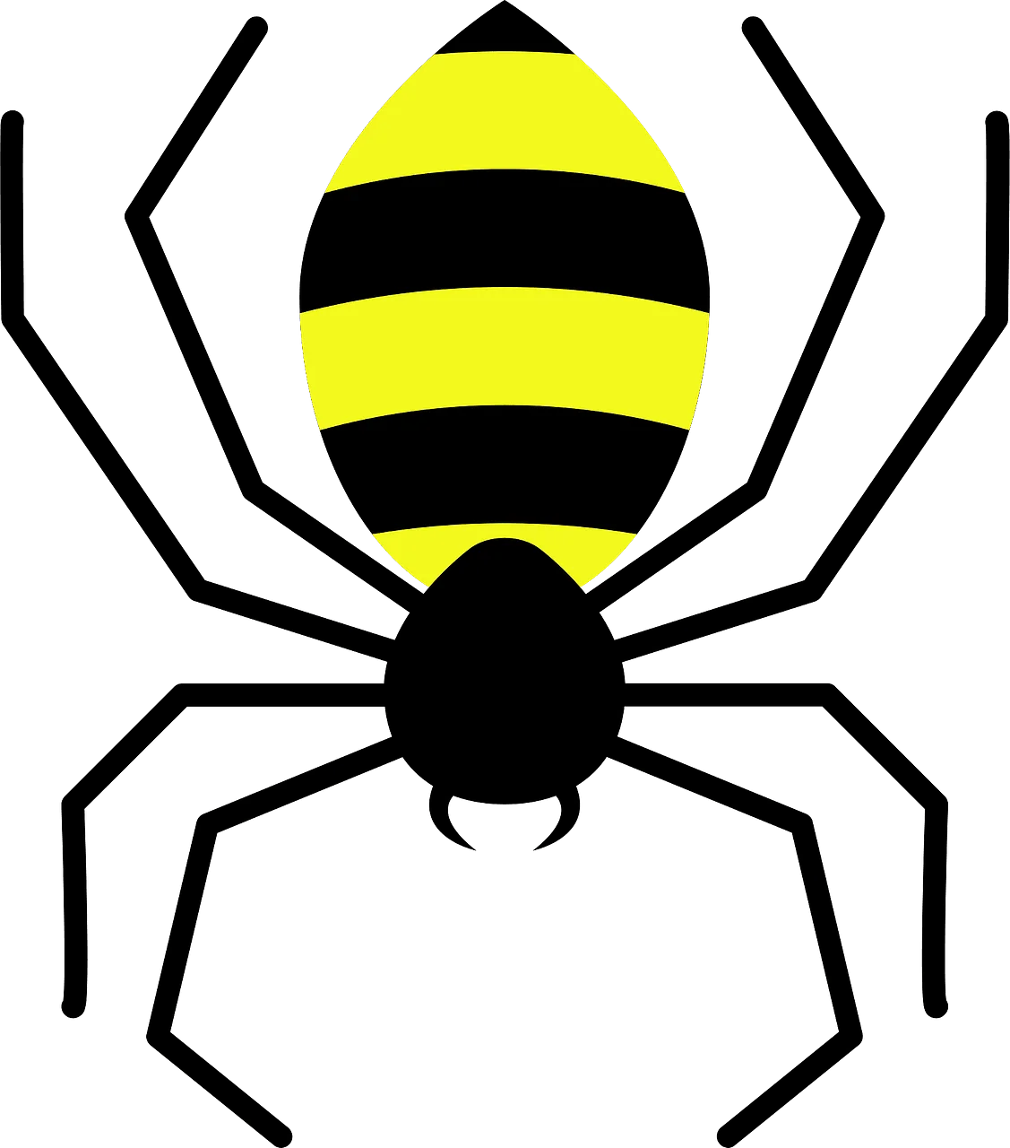 Stylized Black and Yellow Striped Spider Clipart Graphic Design Element