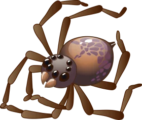 Stylized Brown Spider Clipart with Detailed Exoskeleton and Soft Colored Abdomen