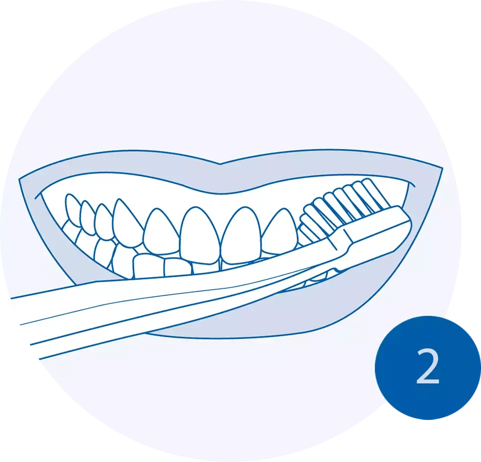 Dental Hygiene Illustration: Toothbrush and Teeth Clipart with Simple Blue Design