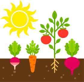 Colorful Gardening Clipart Showcasing Vegetables Growing Under Bright Sunshine
