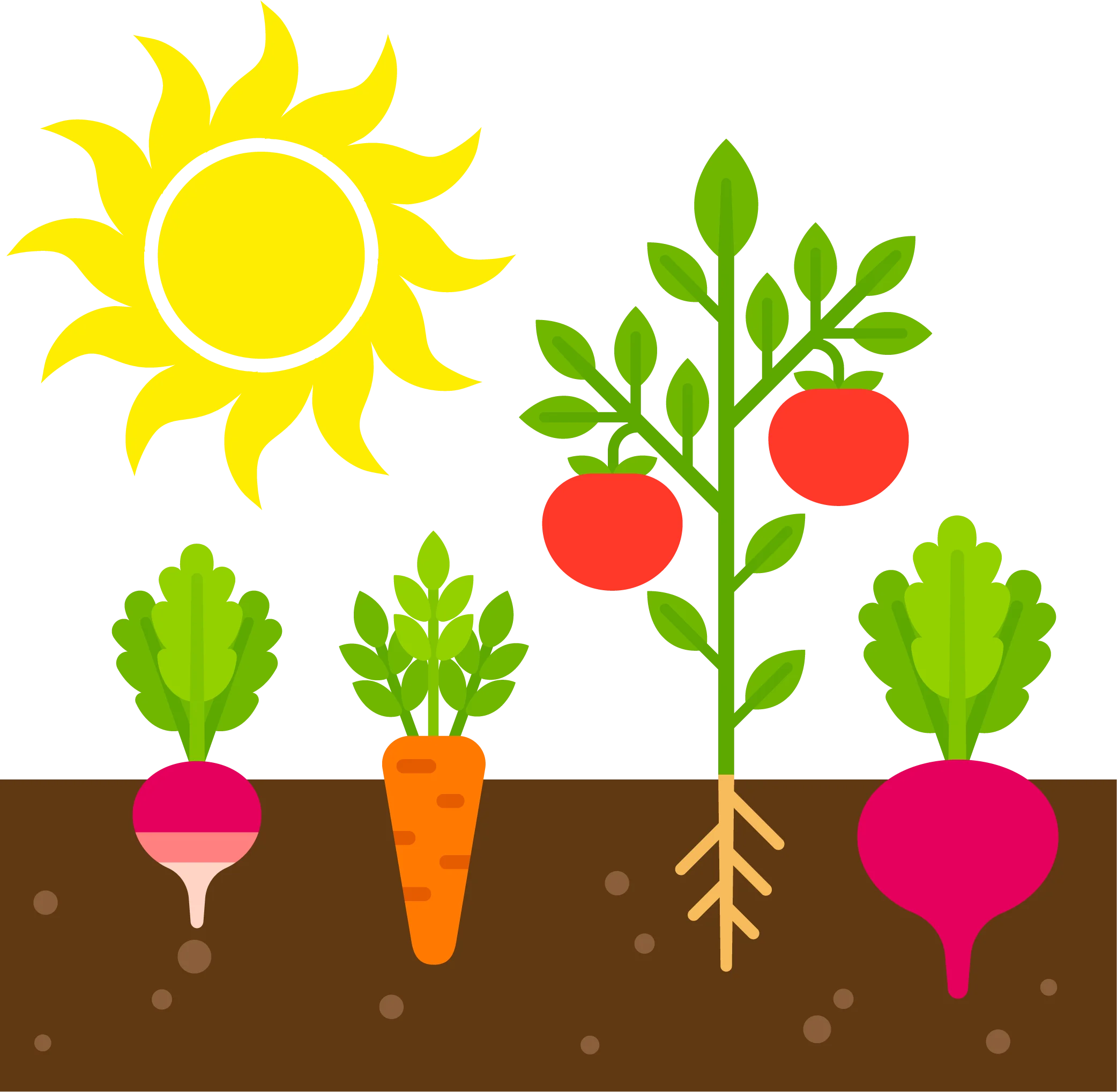 Colorful Gardening Clipart Showcasing Vegetables Growing Under Bright Sunshine
