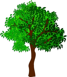 Lush Green Deciduous Tree Clipart with Intricate Leafy Branches and Brown Trunk