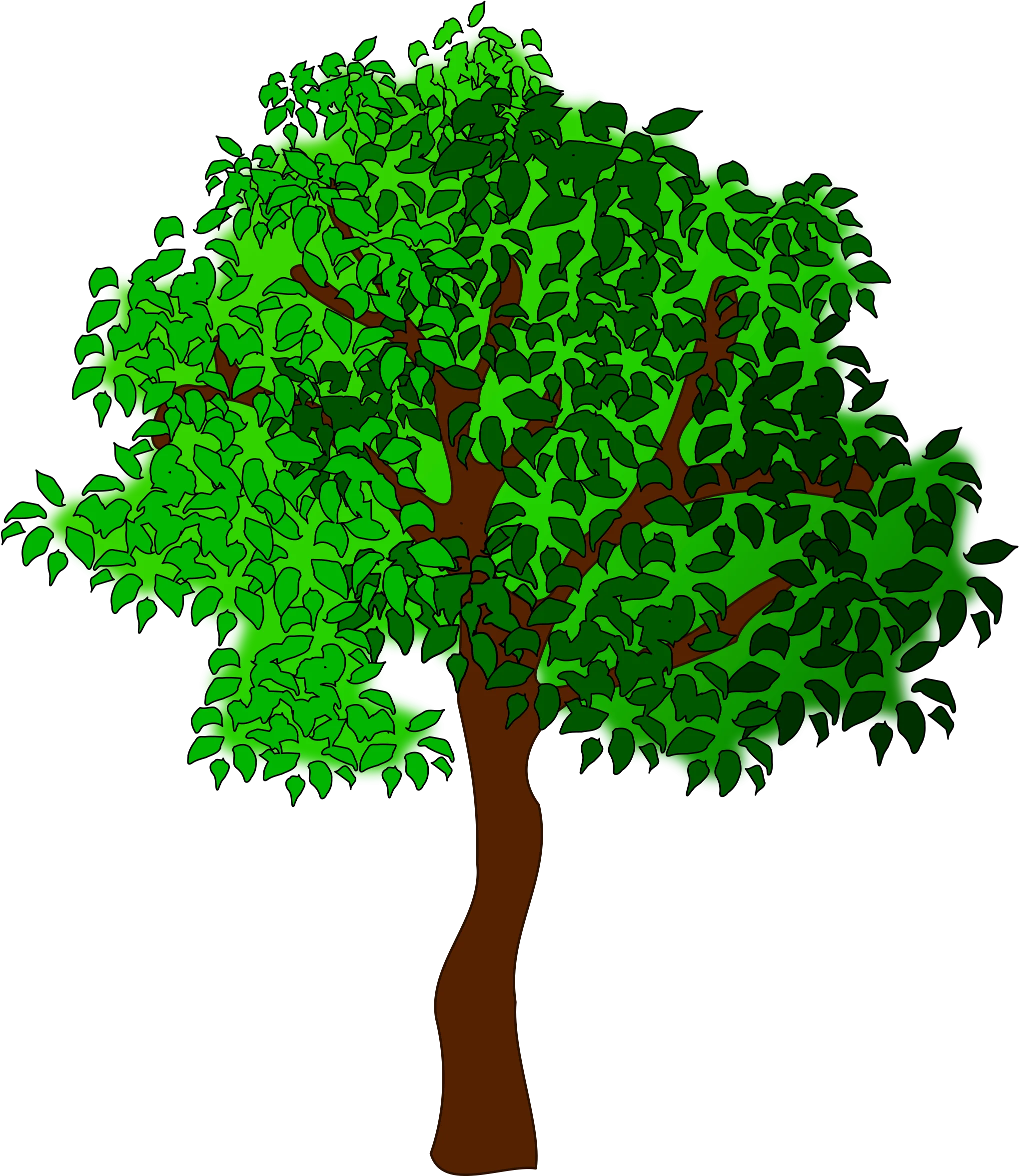 Lush Green Deciduous Tree Clipart with Intricate Leafy Branches and Brown Trunk