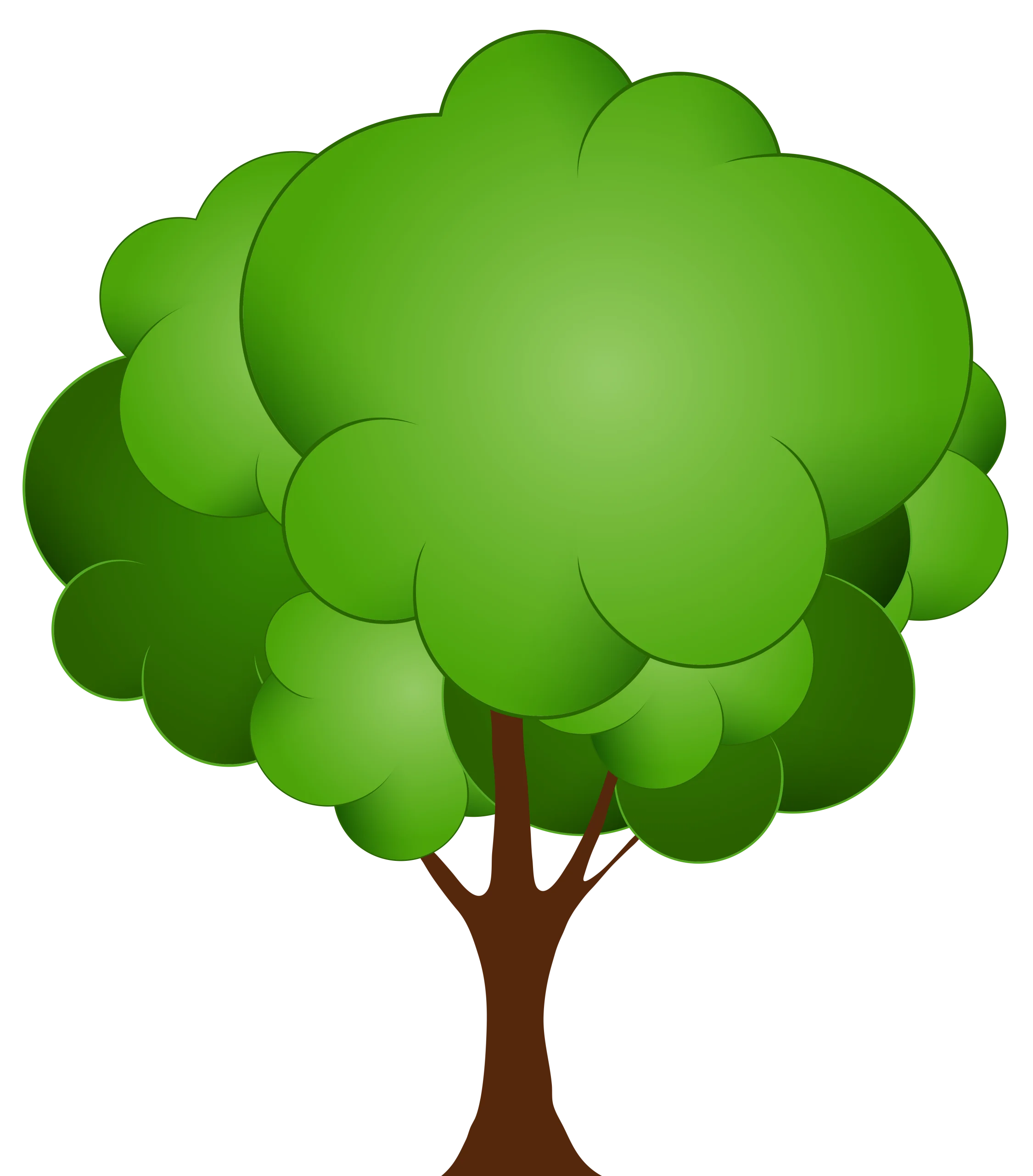 Lush Green Foliage Tree Clipart Illustration with Soft Rounded Canopy