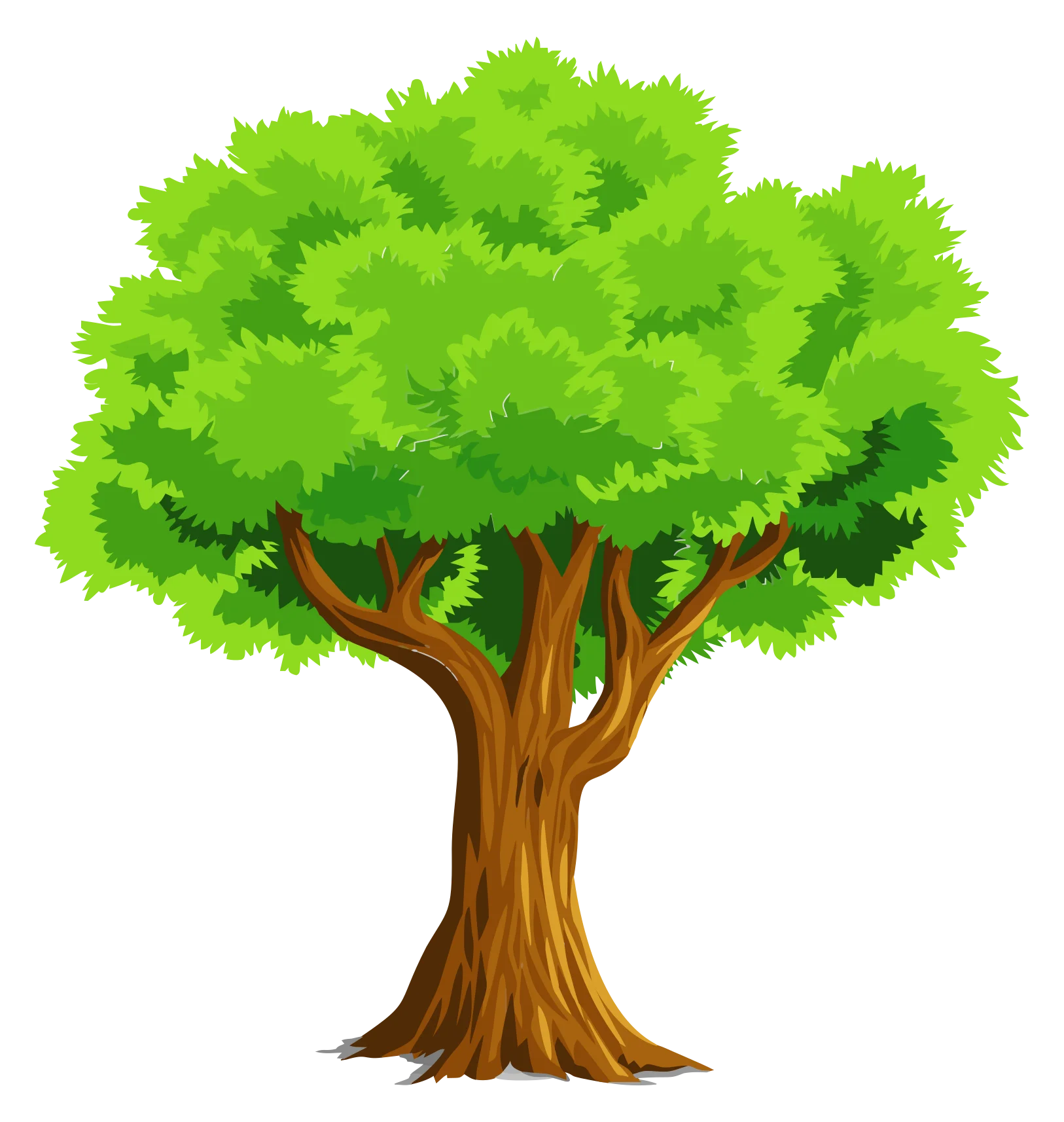 Lush Green Majestic Tree Clipart Illustration with Textured Bark and Foliage