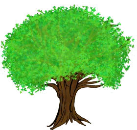Lush Green Tree Clipart Illustration with Expansive Leafy Canopy and Sturdy Trunk