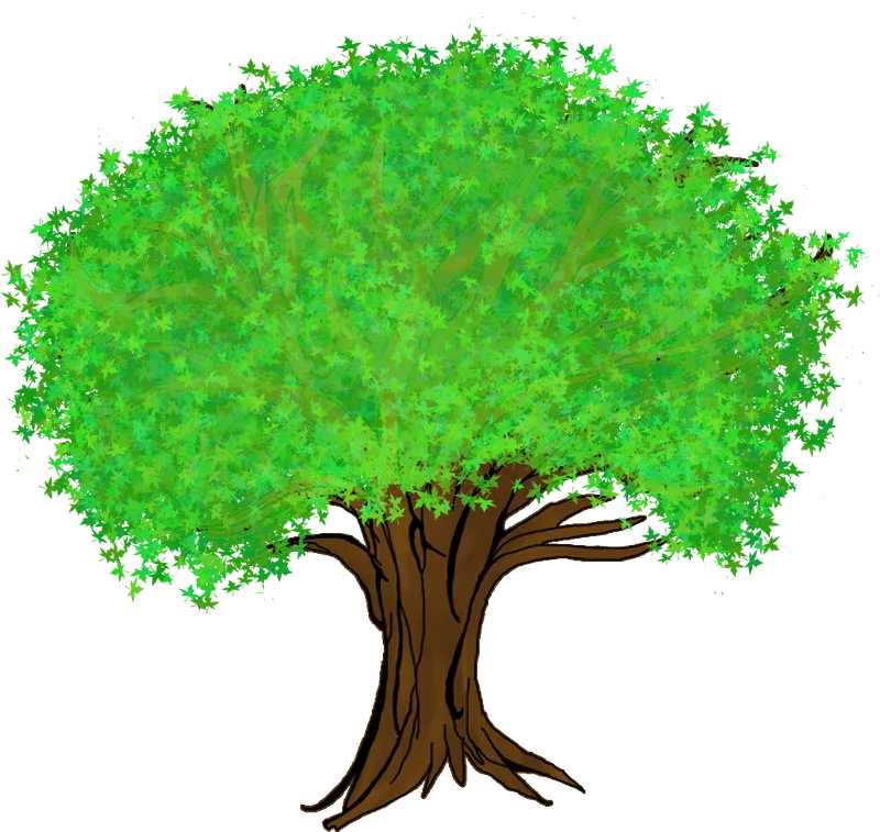 Lush Green Tree Clipart Illustration with Expansive Leafy Canopy and Sturdy Trunk