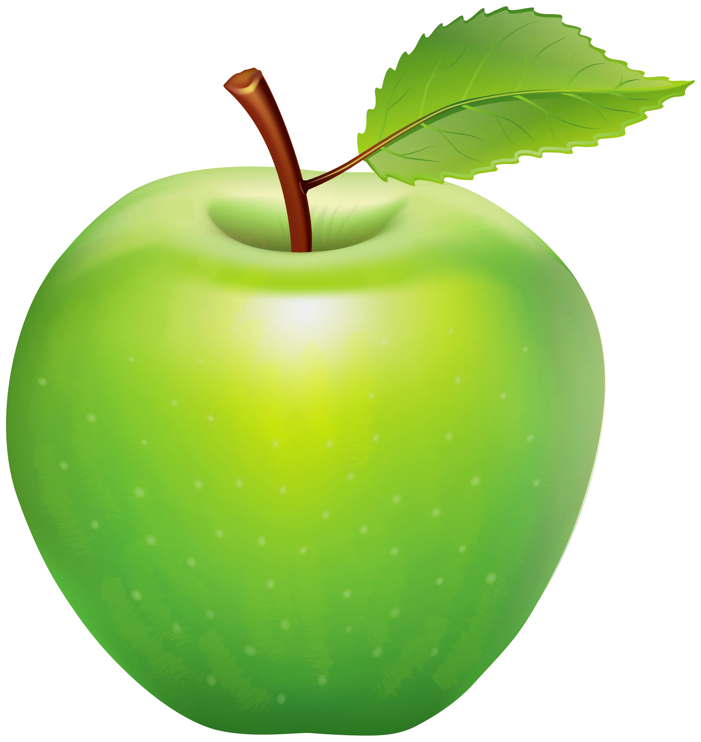 Fresh Green Apple Clipart Illustration with Glossy Surface and Bright Leaf