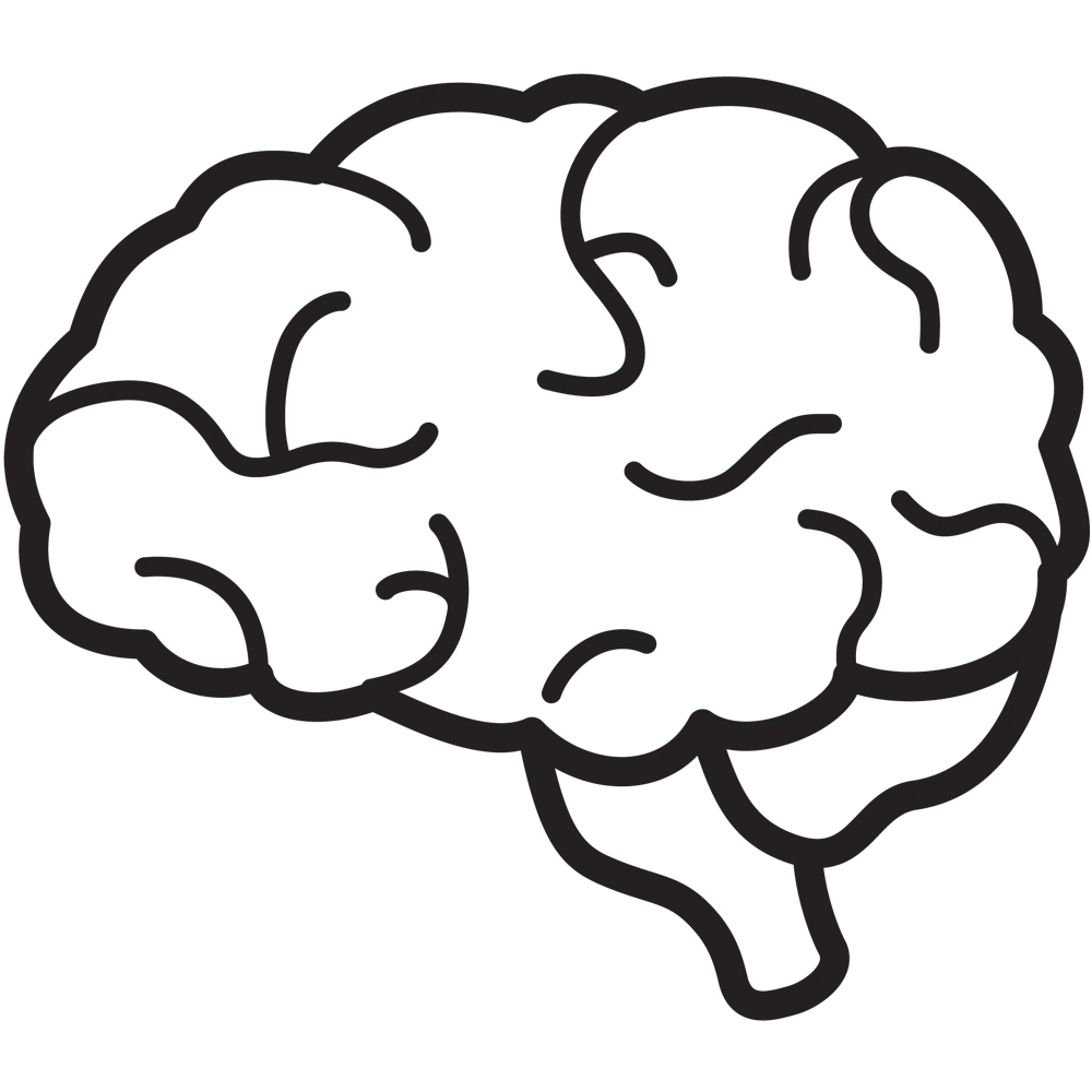 Minimalist Black and White Brain Anatomy Clipart Illustration Side View
