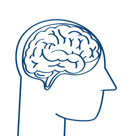 Simple Blue Outline Anatomical Brain Clipart Illustration of Human Cognition