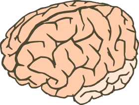 Simplified Neurological Anatomy Illustration: Human Brain Clipart Visualization