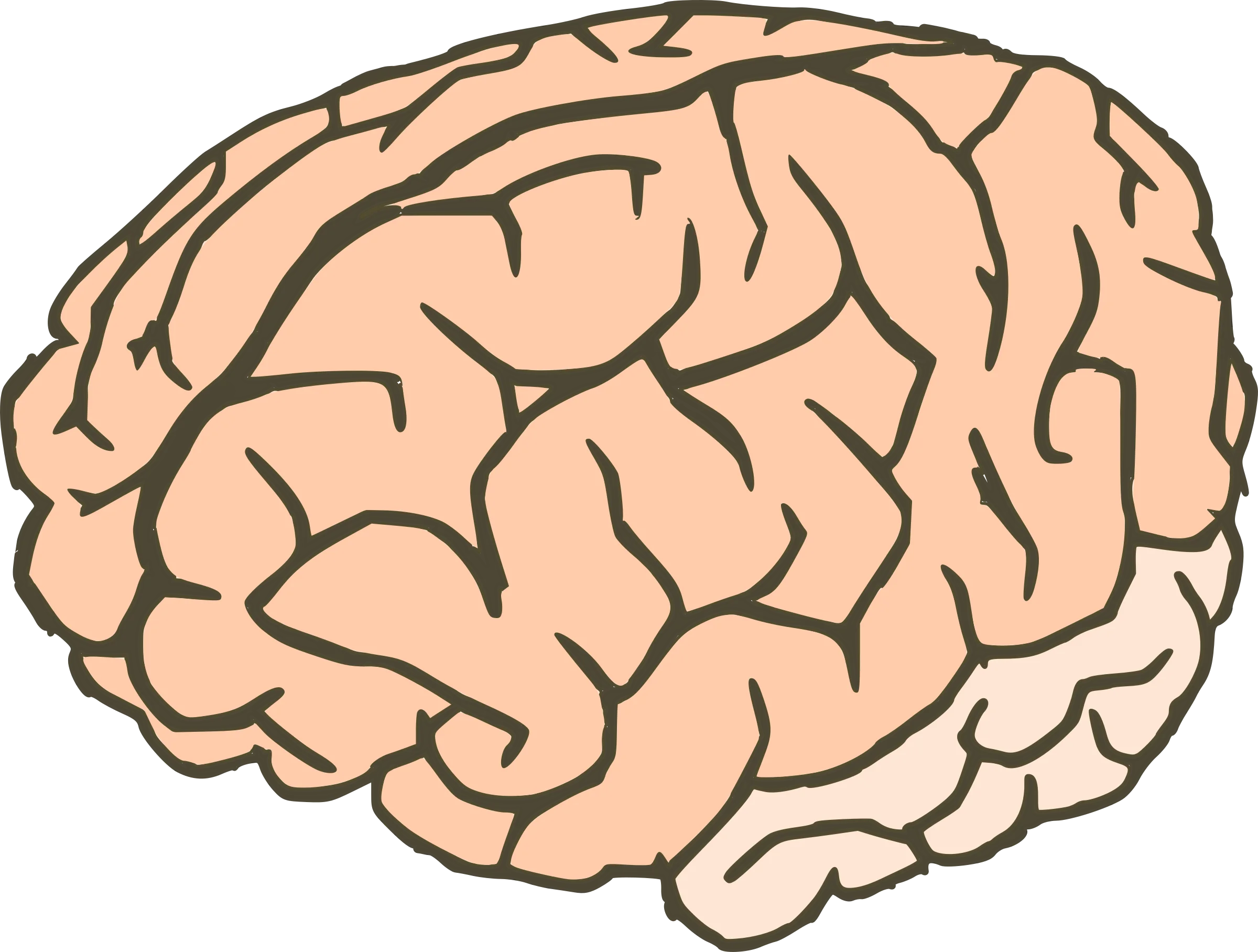 Simplified Neurological Anatomy Illustration: Human Brain Clipart Visualization