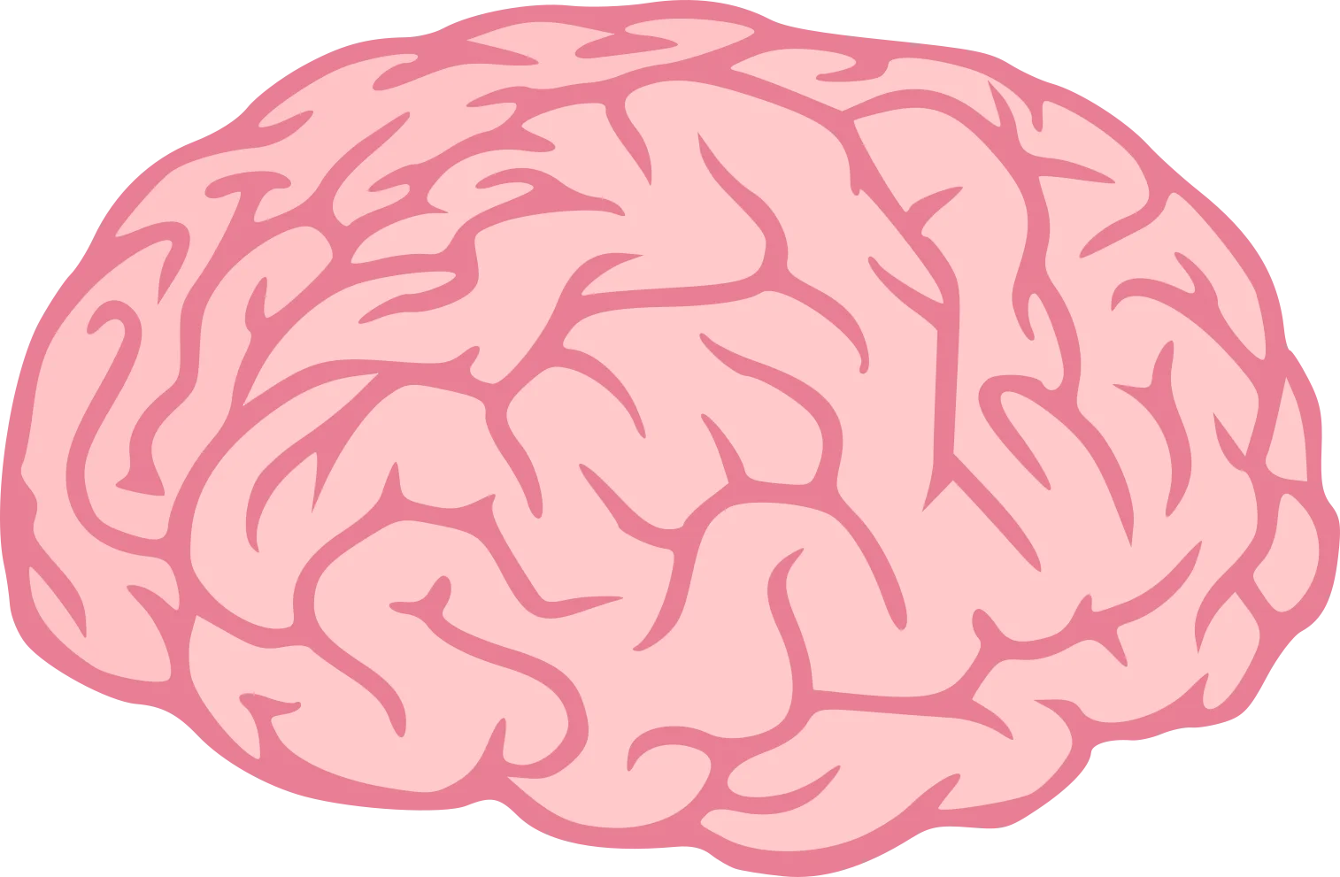 Soft Pink Human Brain Anatomical Illustration Clipart Design Element