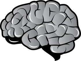 Stylized Grayscale Brain Anatomy Clipart Illustration for Medical Design