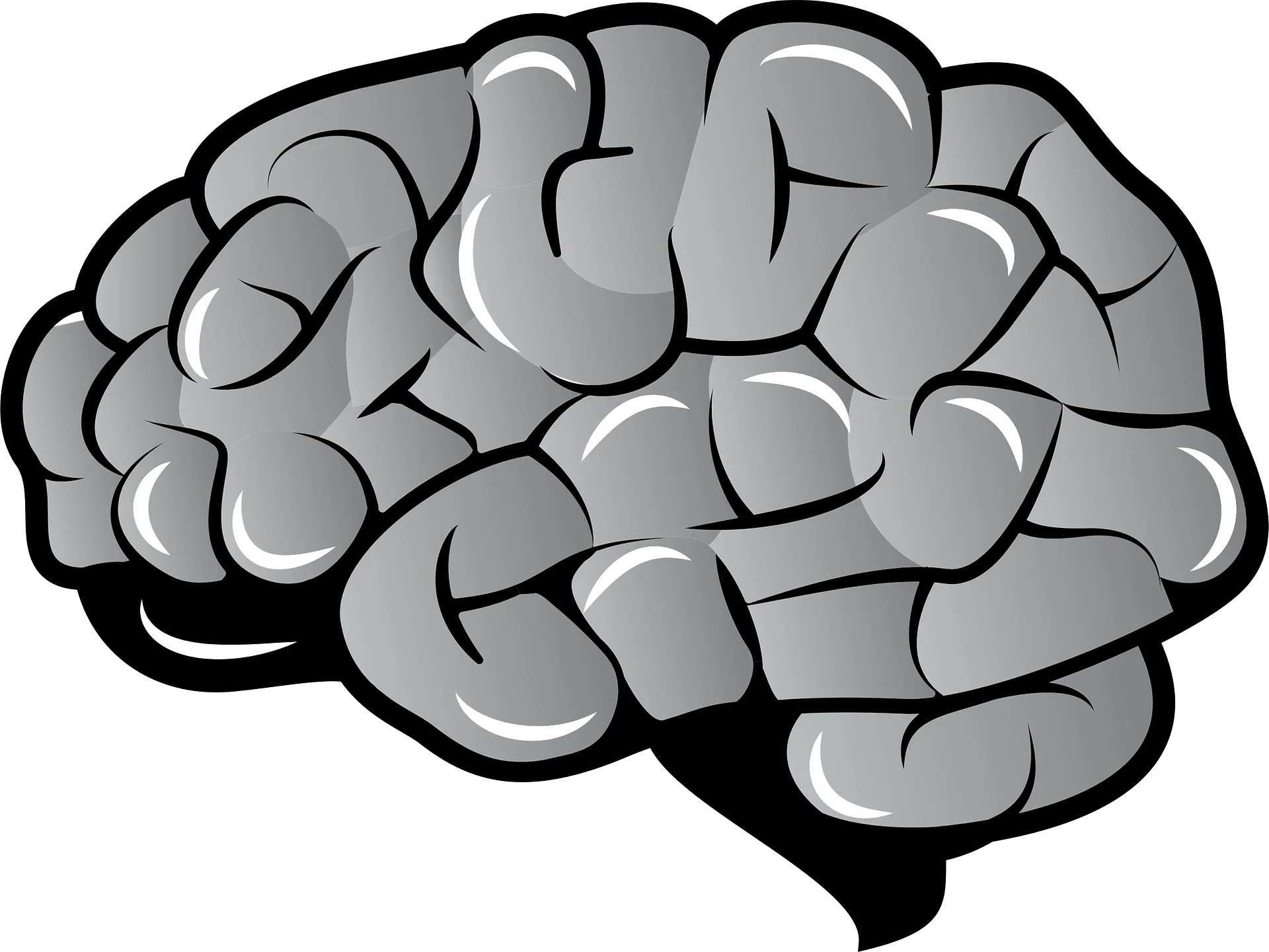 Stylized Grayscale Brain Anatomy Clipart Illustration for Medical Design