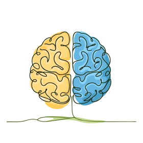 Symmetrical Brain Hemispheres Illustration: Left and Right Cognitive Clipart Design