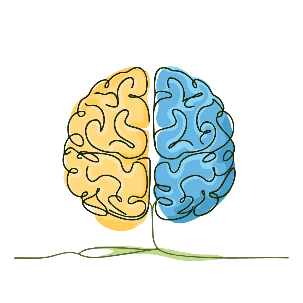 Symmetrical Brain Hemispheres Illustration: Left and Right Cognitive Clipart Design