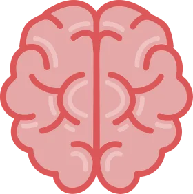 Symmetrical Human Brain Anatomical Illustration Minimalist Clipart Design