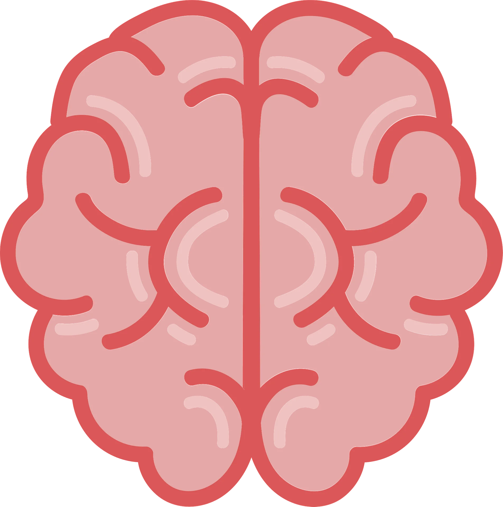 Symmetrical Human Brain Anatomical Illustration Minimalist Clipart Design
