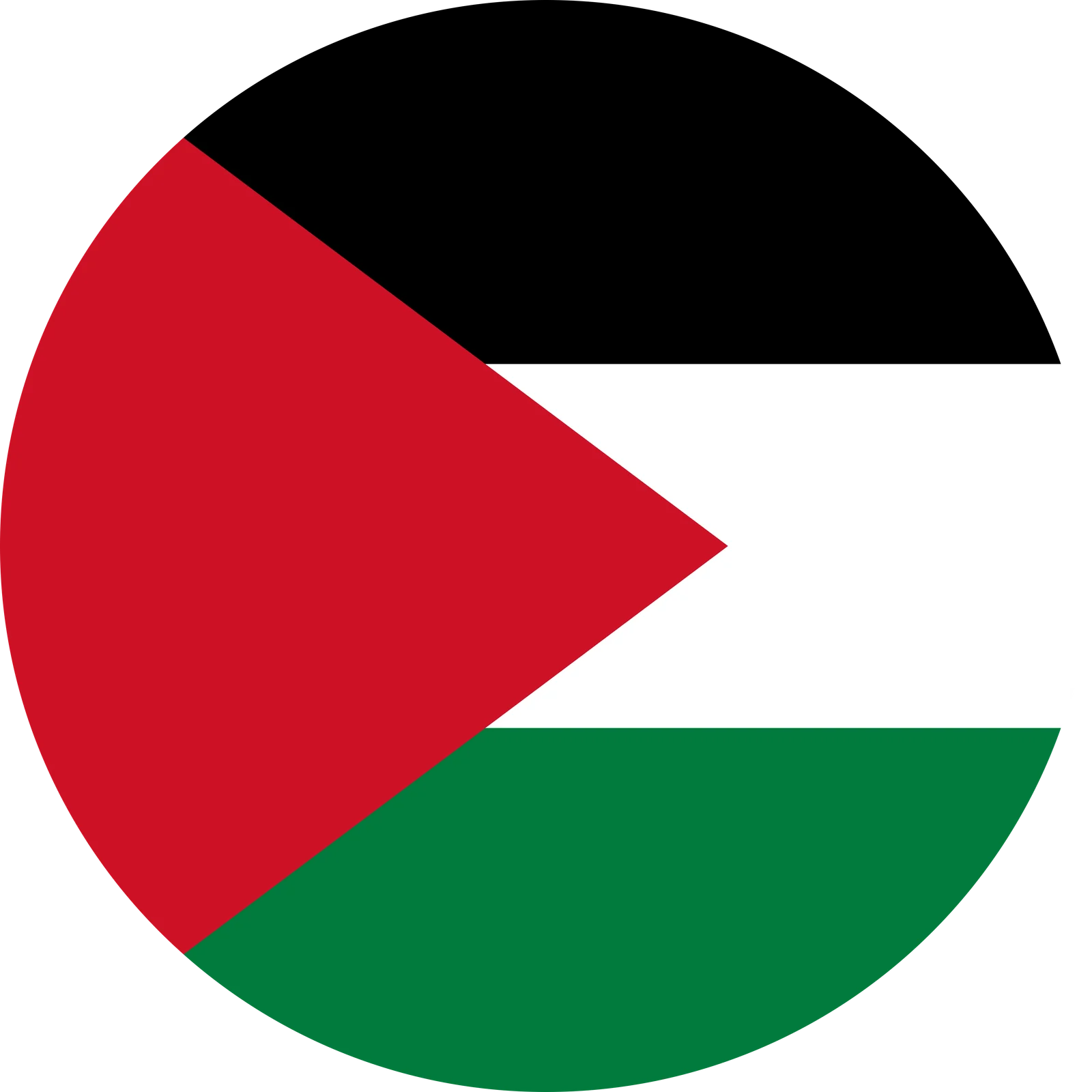 Elegant Geometric Palestinian Flag National Pride Circular Clipart Design