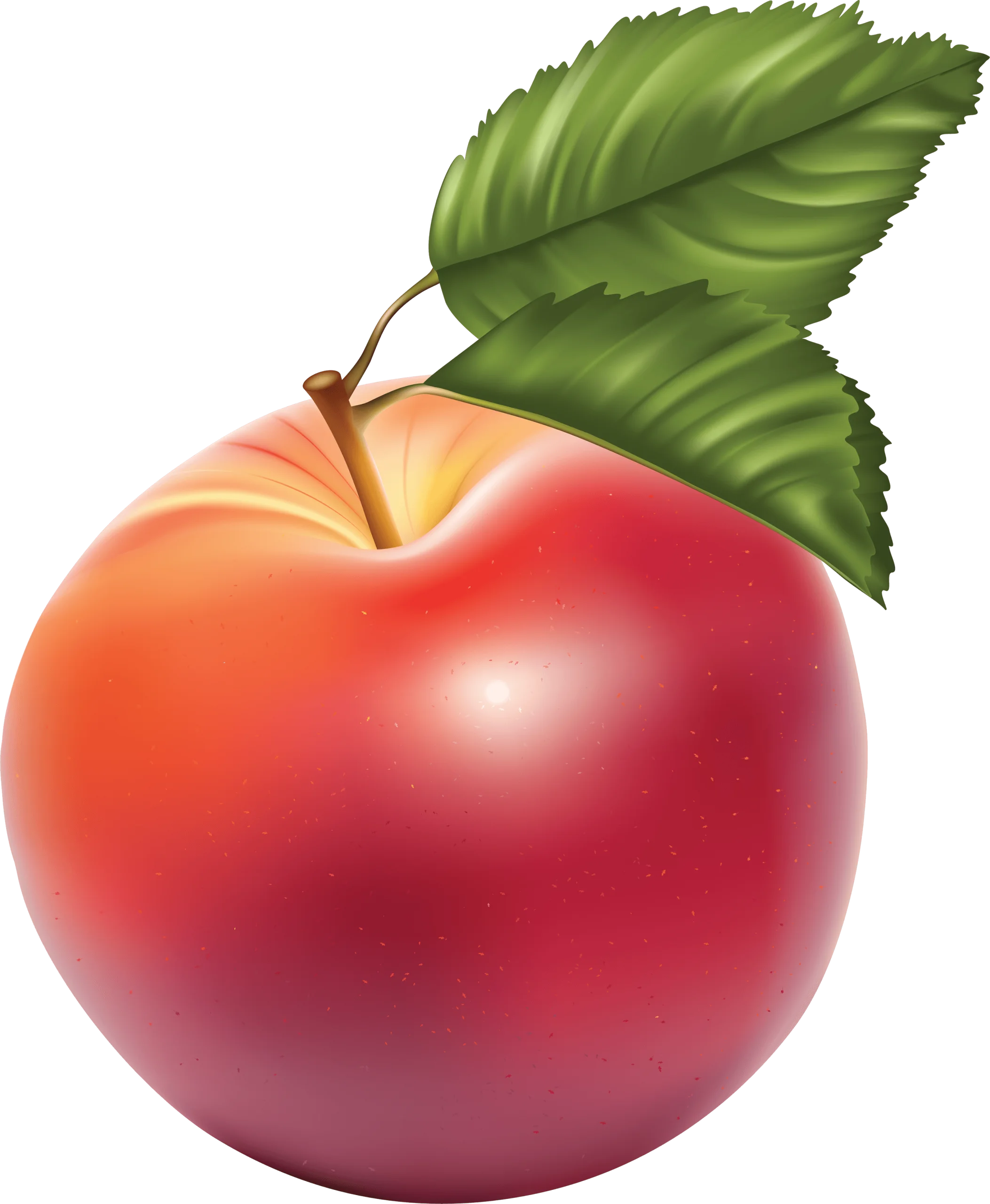 Luscious Red Apple Clipart with Fresh Green Leaves: A Realistic Illustration