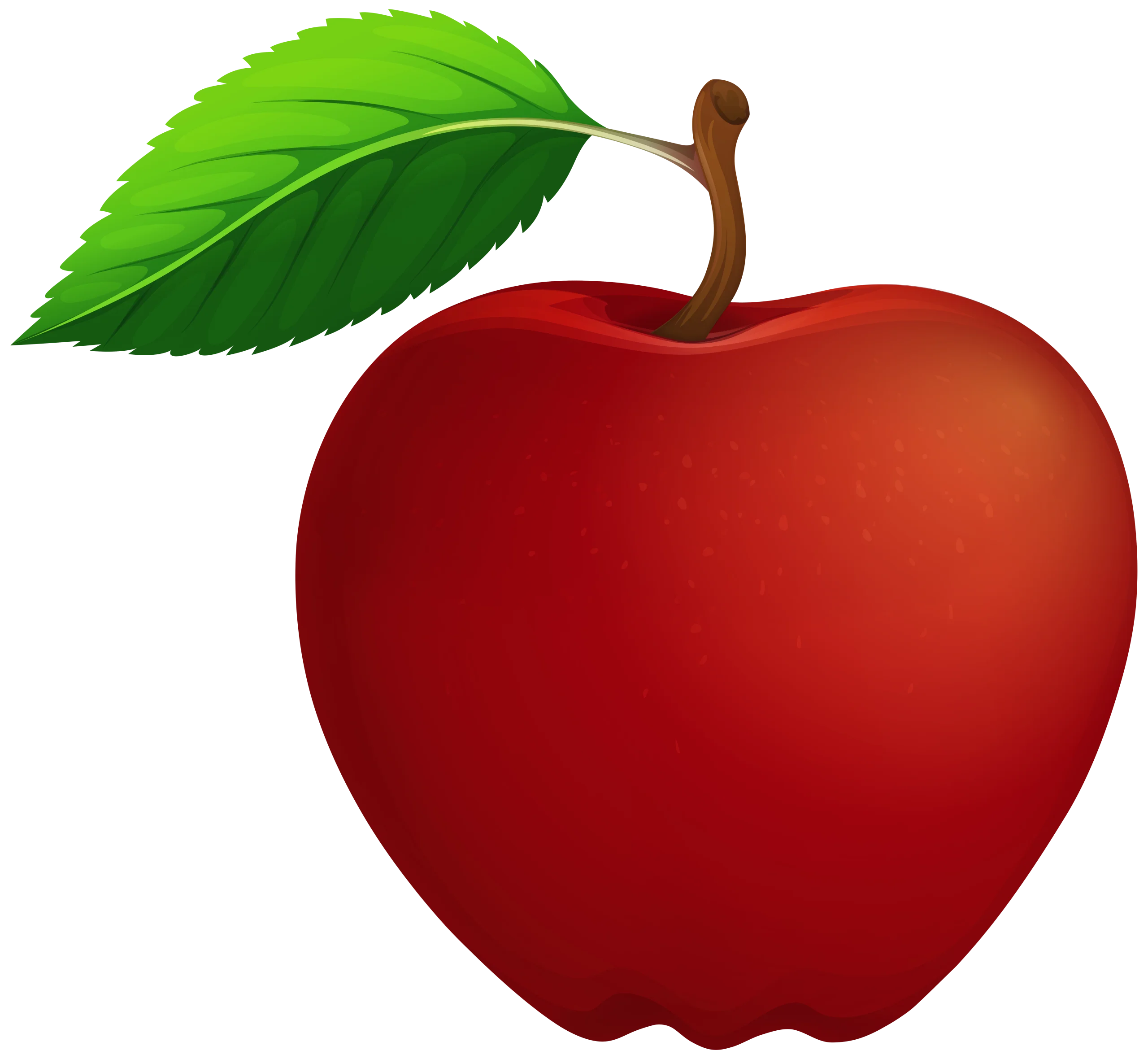 Realistic Red Apple Clipart with Glossy Leaf and Smooth Curved Contours