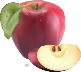 Realistic Red Apple Clipart with Glossy Texture and Slice Illustration