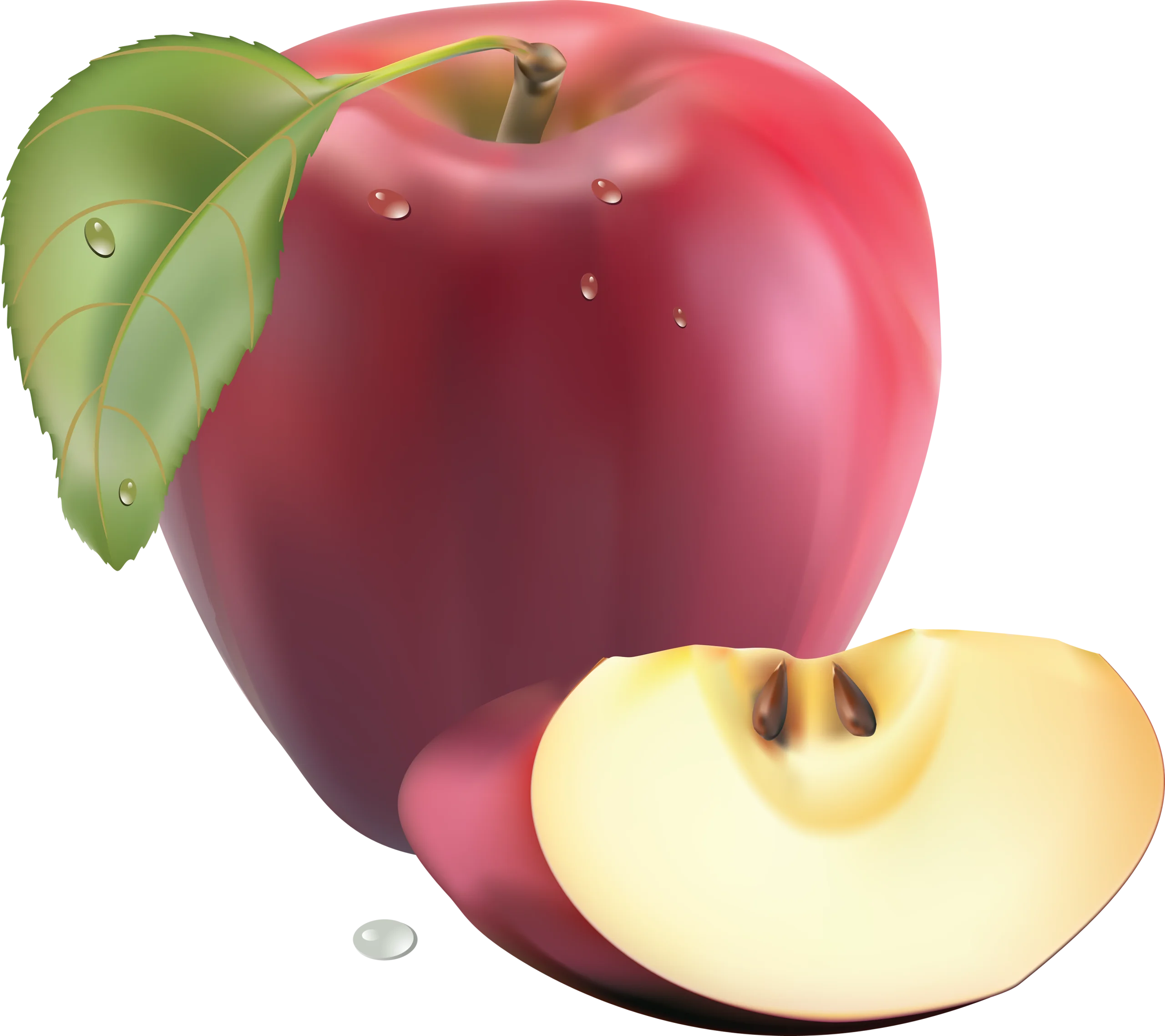 Realistic Red Apple Clipart with Glossy Texture and Slice Illustration