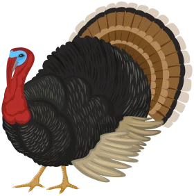 Detailed Thanksgiving Turkey Clipart with Realistic Feather Textures and Bold Colors