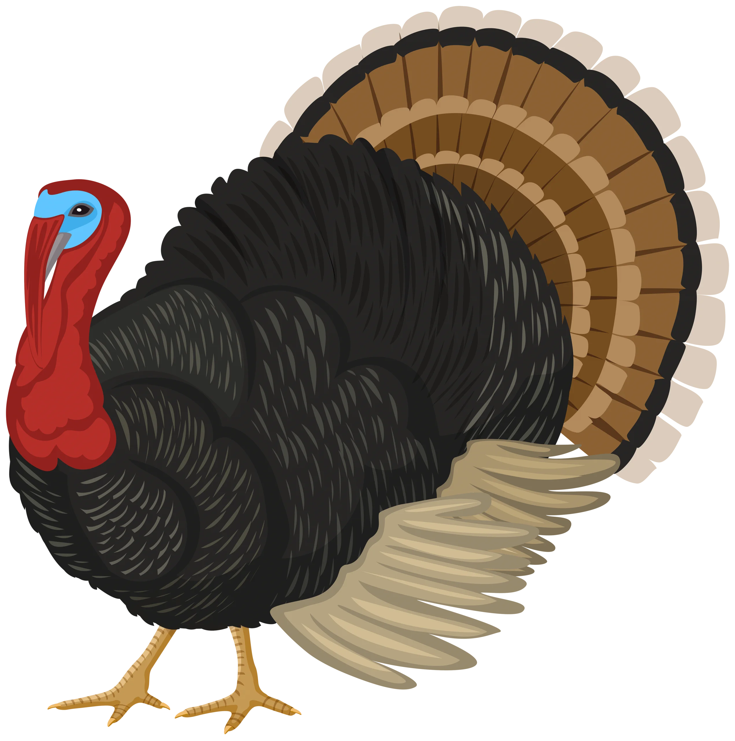 Detailed Thanksgiving Turkey Clipart with Realistic Feather Textures and Bold Colors