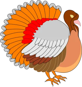 Festive Thanksgiving Turkey Clipart with Colorful Feathered Plumage and Detailed Design