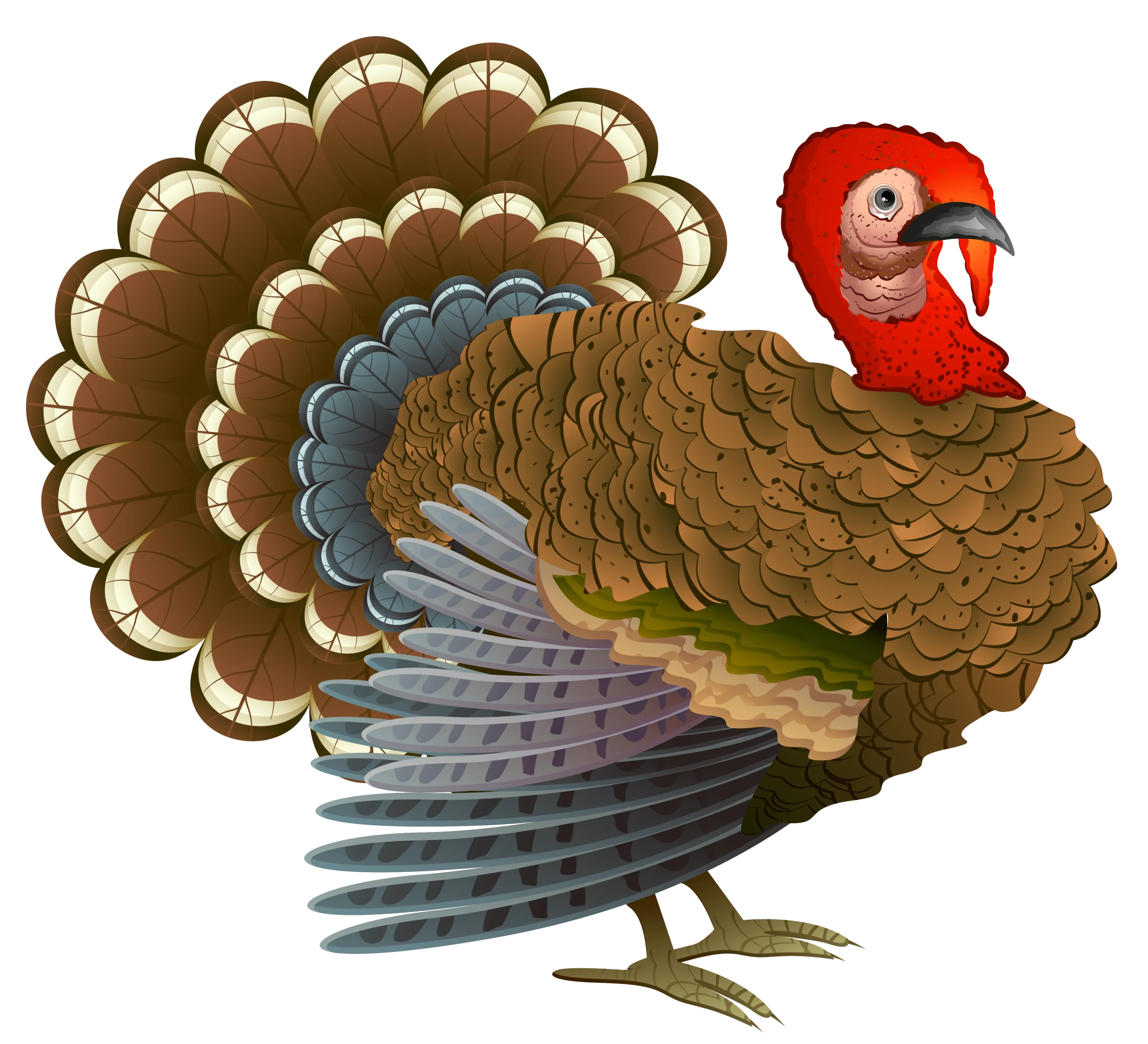 Festive Traditional Thanksgiving Turkey Clipart with Detailed Feather Design