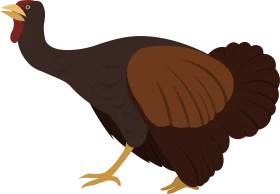 Stylized Brown Turkey Clipart Illustration with Detailed Feather Texture