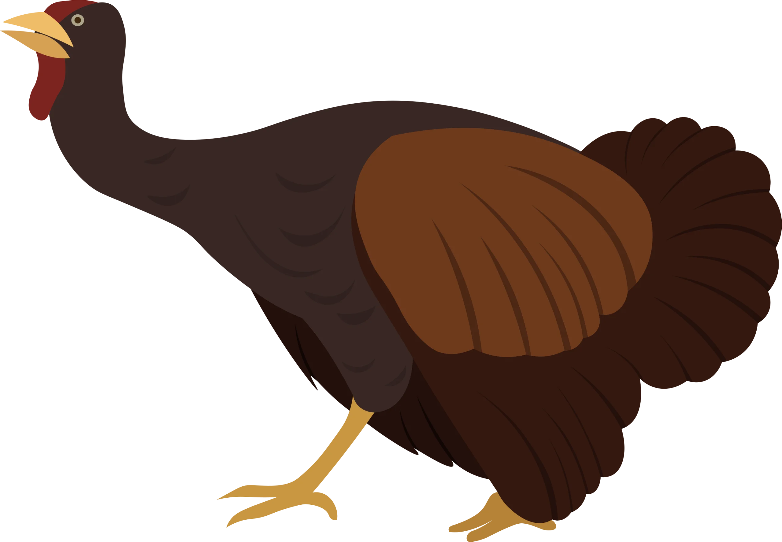 Stylized Brown Turkey Clipart Illustration with Detailed Feather Texture