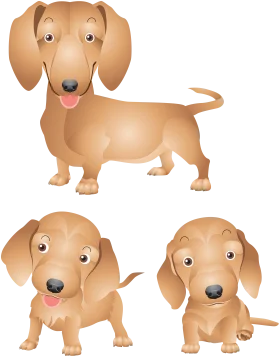 Adorable Dachshund Puppy Cartoon Clipart Collection of Three Playful Poses