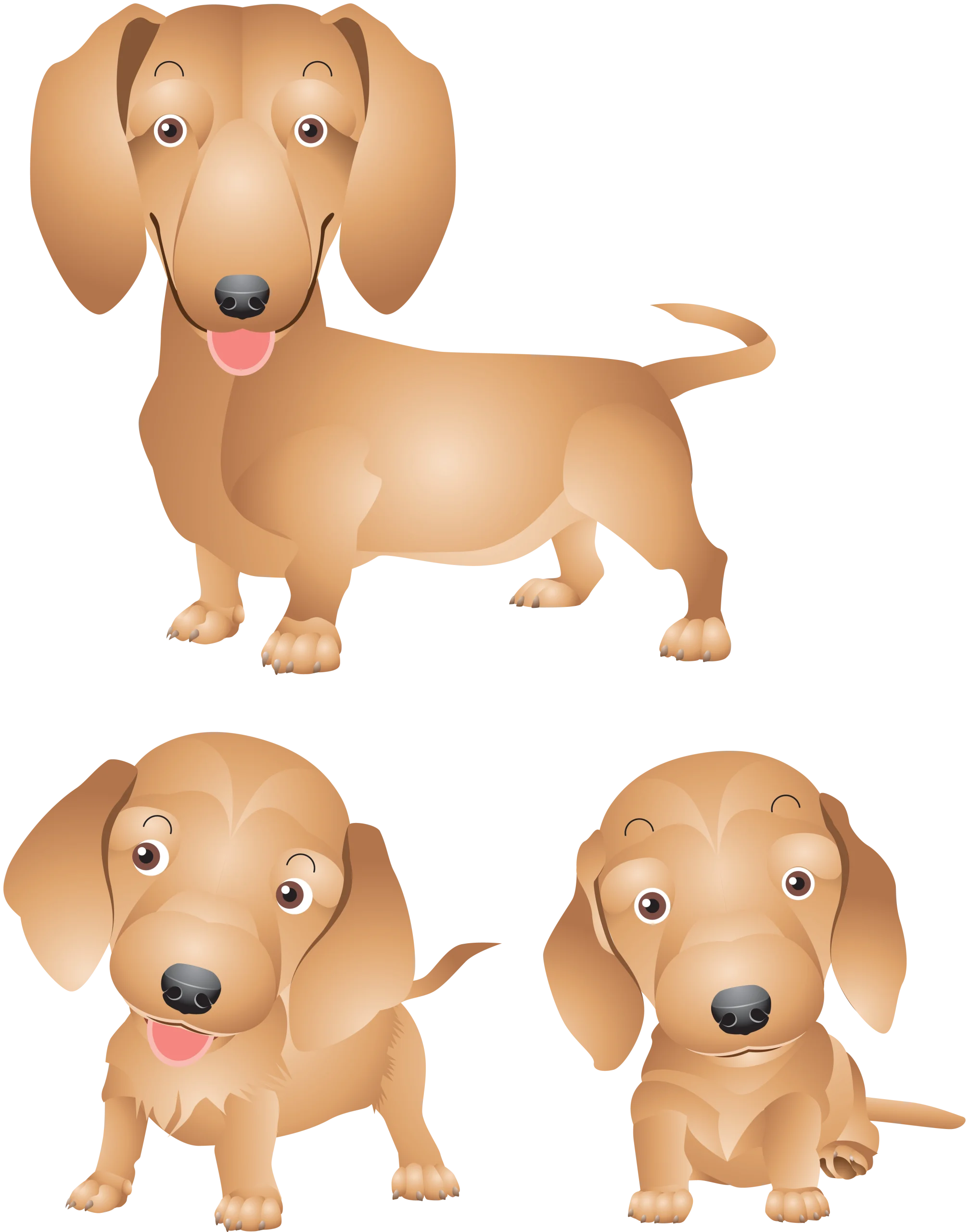 Adorable Dachshund Puppy Cartoon Clipart Collection of Three Playful Poses