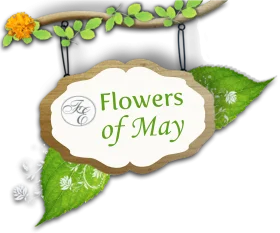 Delicate Floral May Clipart Signboard Nestled Among Verdant Leaves and Blossoms