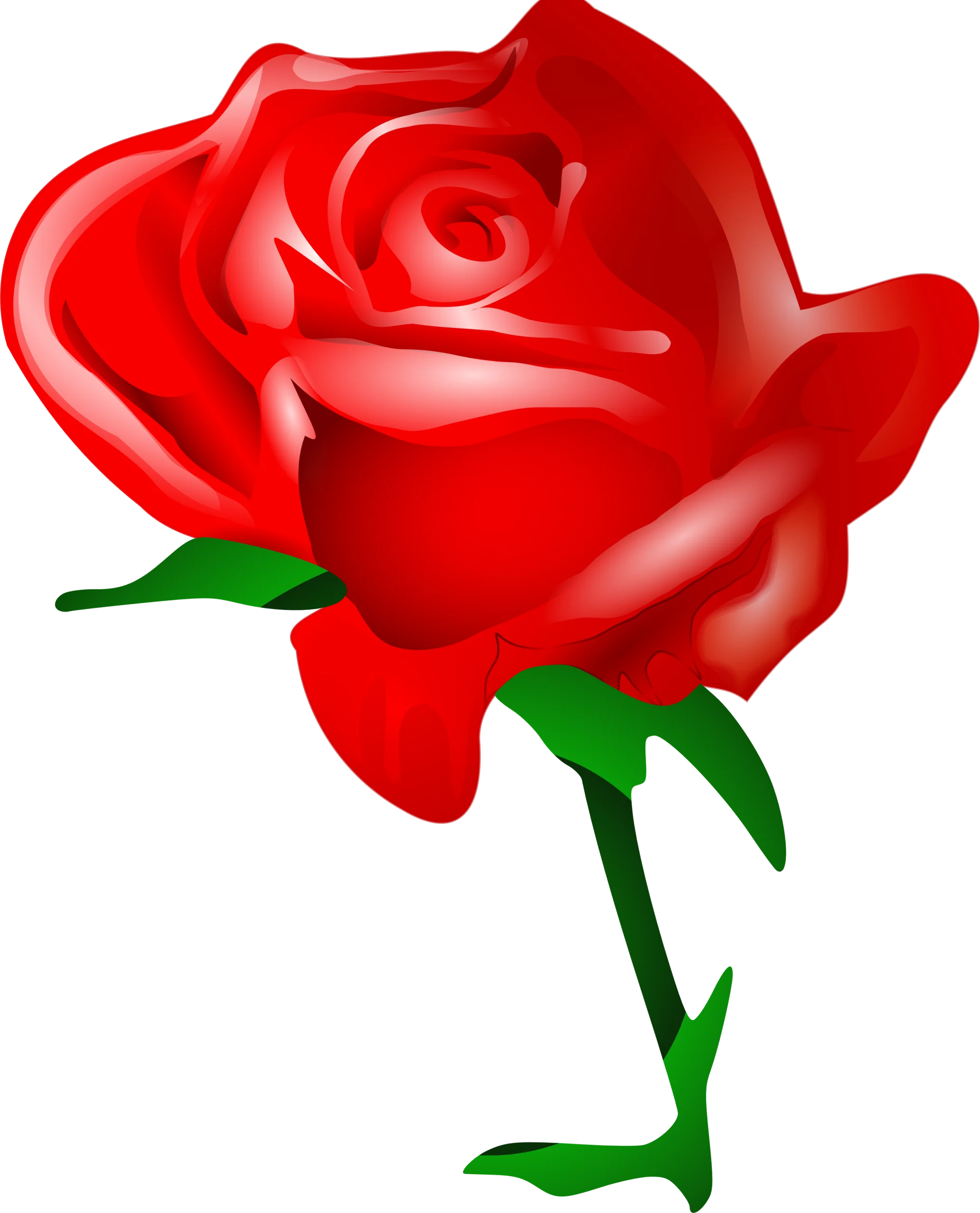 Beautiful Red Rose Clipart Illustration with Glossy Petals and Emerald Stem