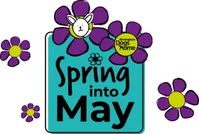 Cheerful Spring into May Celebration Seasonal Clipart Design with Playful Flowers